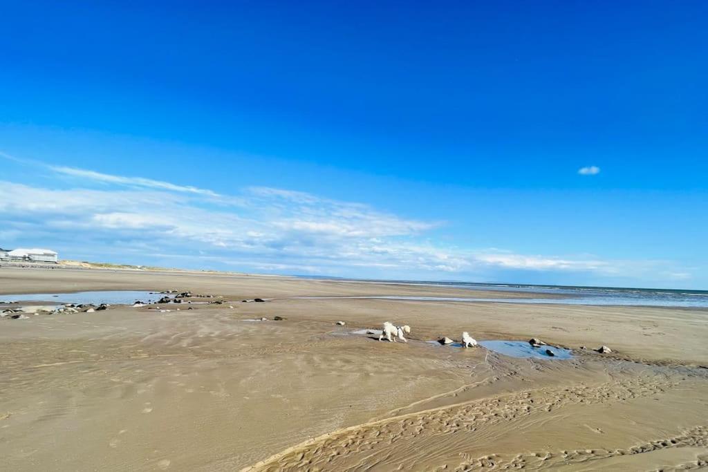 2 Bedroom Holiday Home In The Heart Of West Wales سانت كليرز المظهر الخارجي الصورة